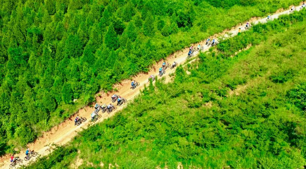 本次赛事参赛选手在林间穿行。咸阳市体育局供图