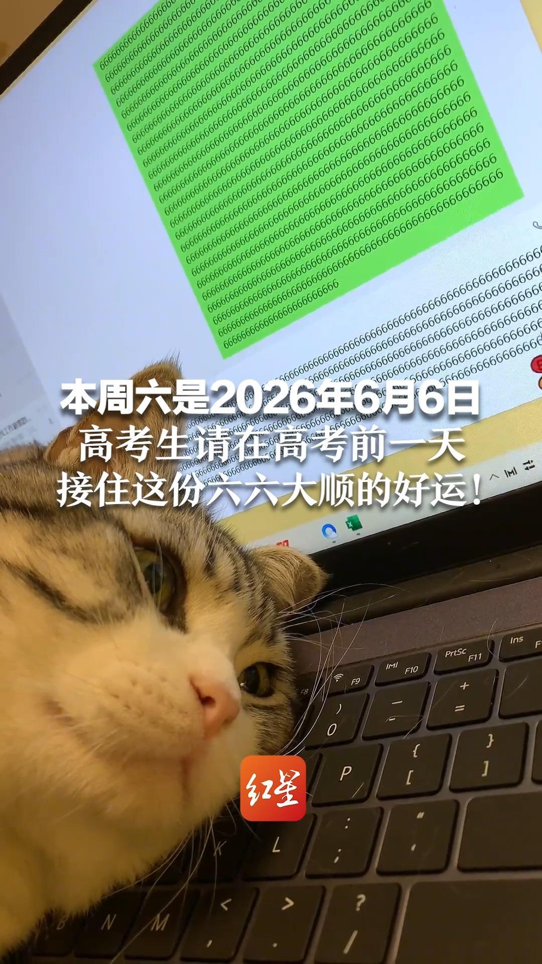 本周六是2026年6月6日 是年度最六的一天！高考生请在高考前一天 接住这份六六大顺的好运