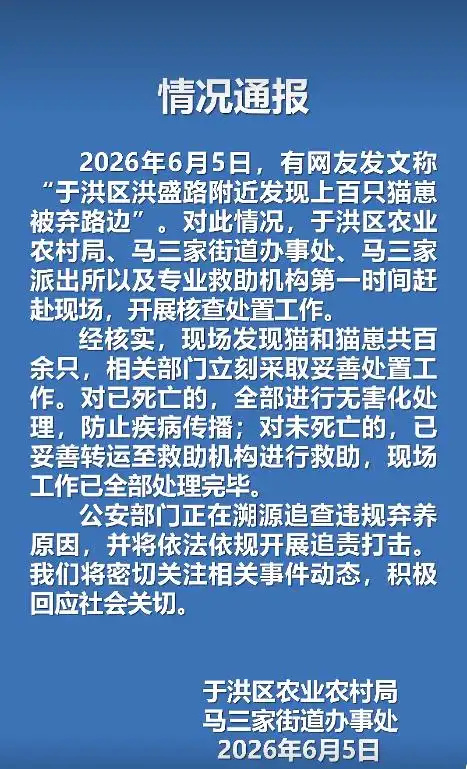 官方通报上百只猫崽被弃路边