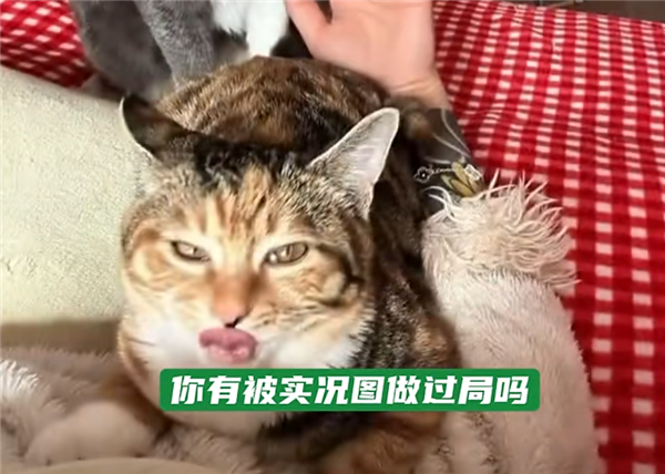 苹果实况图被指精准选丑！客服回应：实况定格是系统判断