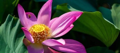 滨州夏日顶流预告来袭
