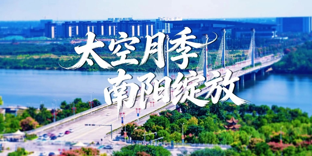 太空月季  南阳绽放