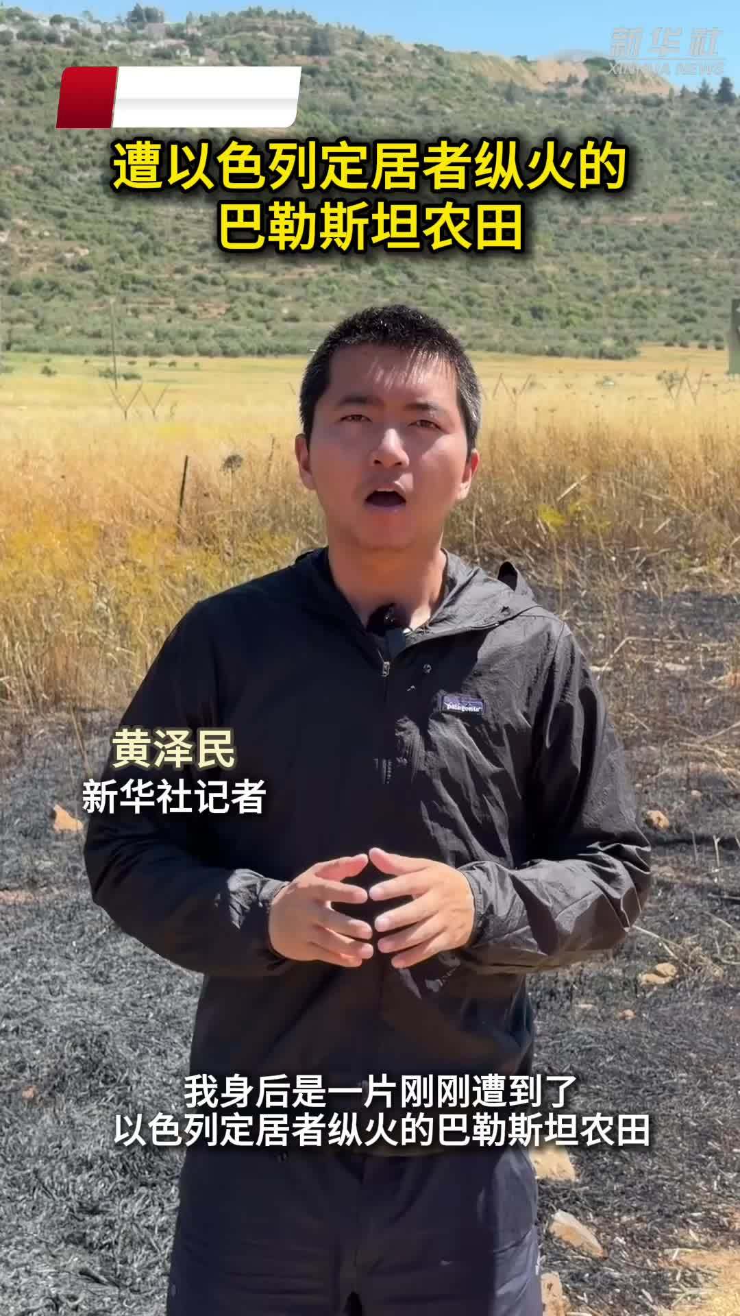 记者直击：遭以色列定居者纵火的巴勒斯坦农田