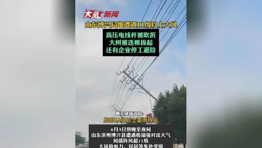 山东博兴局地遭遇11级以上大风，高压电线杆被吹折，大树被连根拔起，有企业停工避险