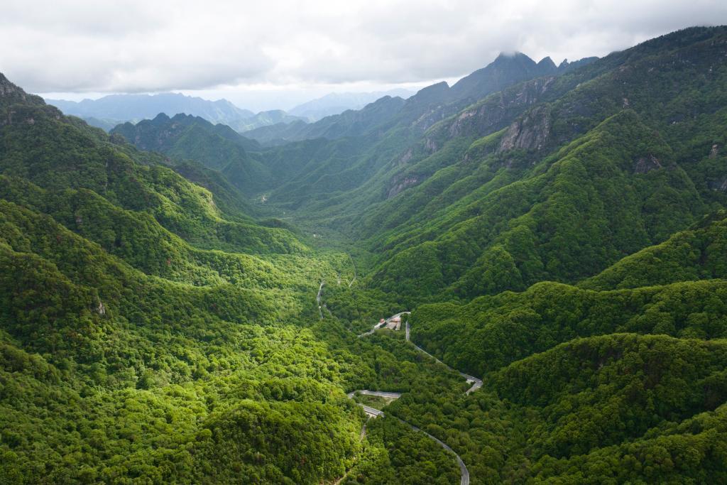 位于陕西省宁陕县境内的秦岭分水岭,初夏时节景色壮美。(无人机照片) 新华社记者邵瑞 摄