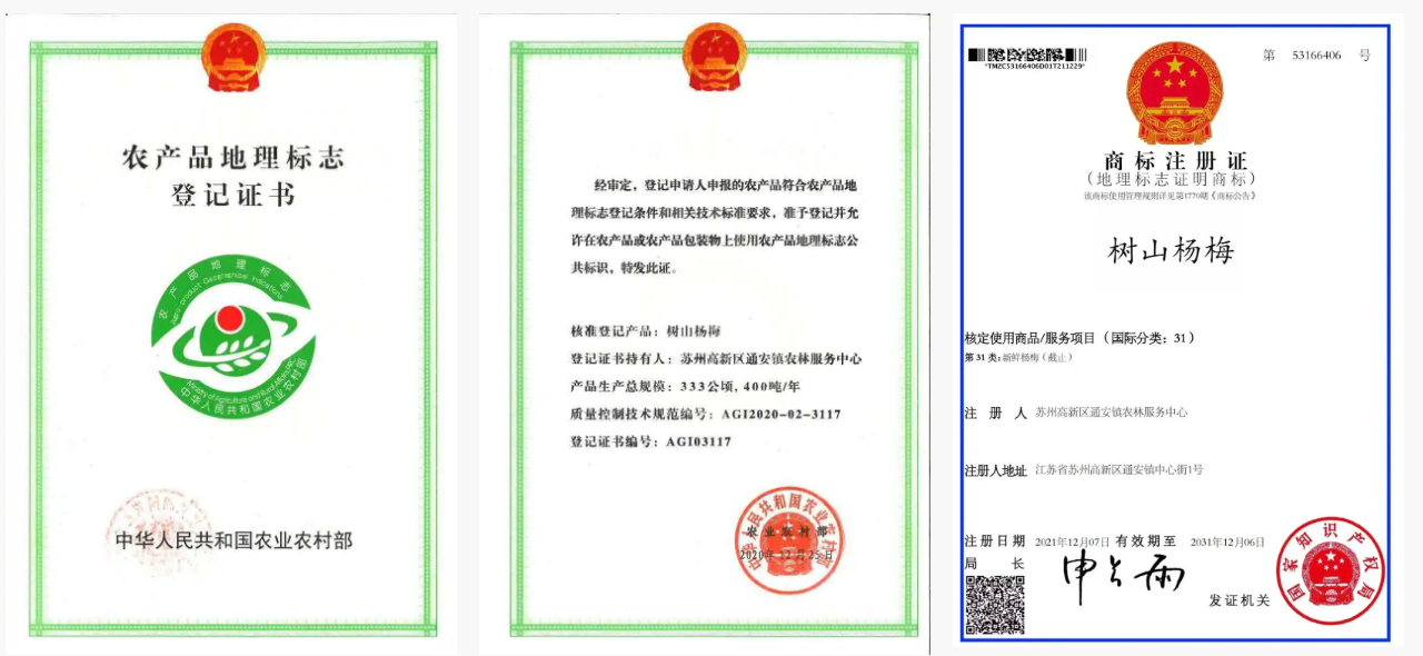 图片来源：苏州高新区发布