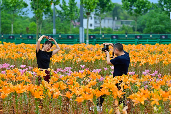 微信图片_2026-06-01_105406_049.png