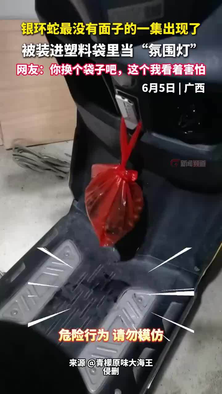 银环蛇最没有面子的一集出现了，银环蛇被装进塑料袋挂在车上