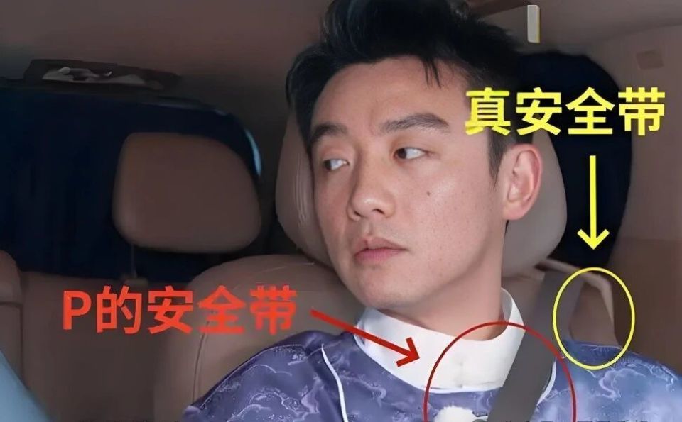 某综艺节目“一车安全带全是P上去的”(图9)