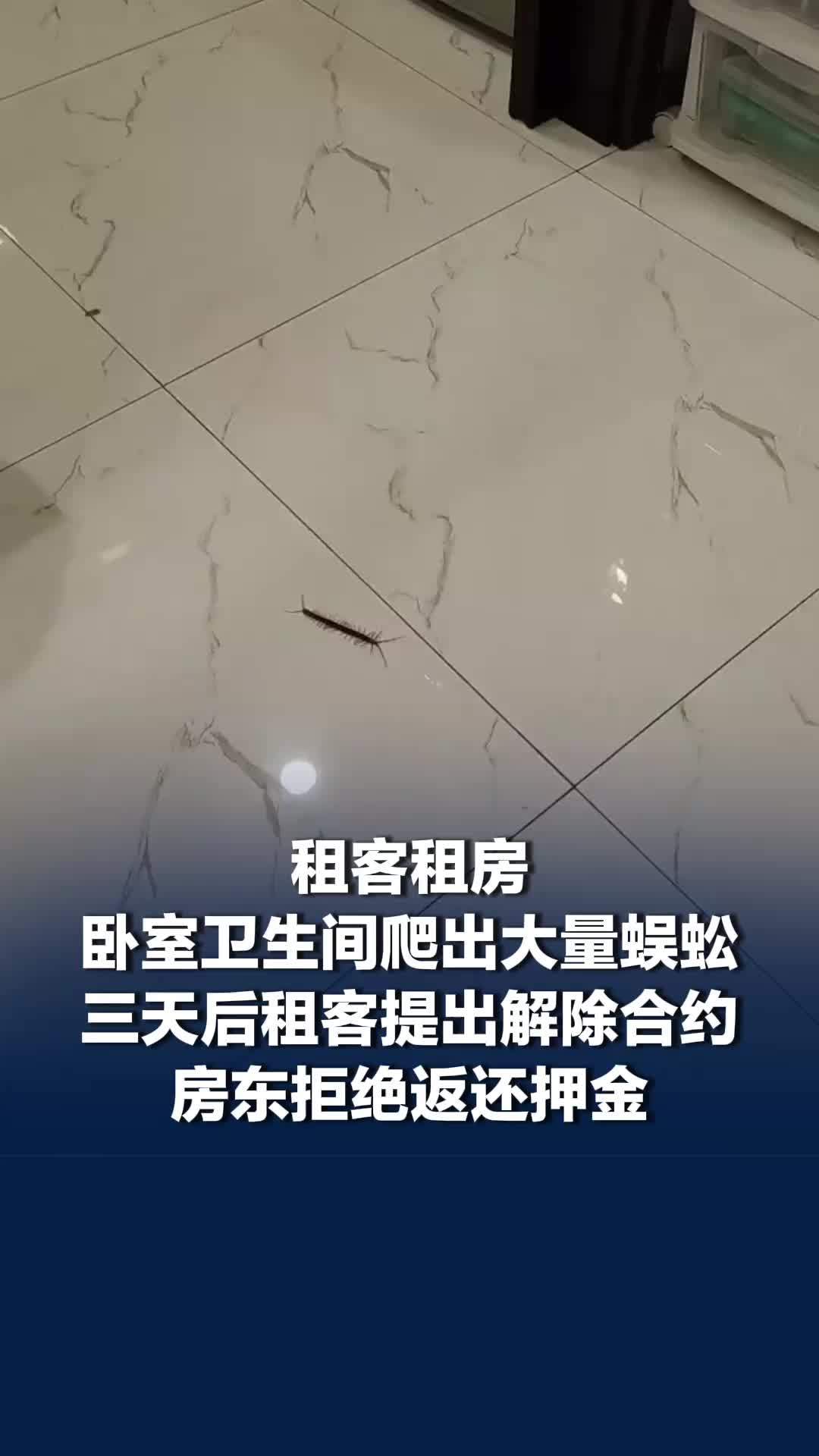 租客租房卧室卫生间爬出大量蜈蚣