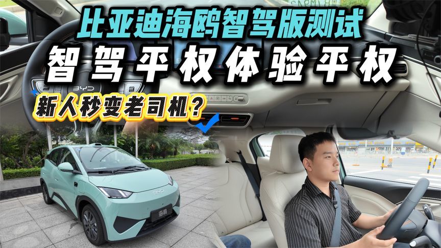 入门车配激光雷达！试比亚迪海鸥智驾版，领先了亿点点？