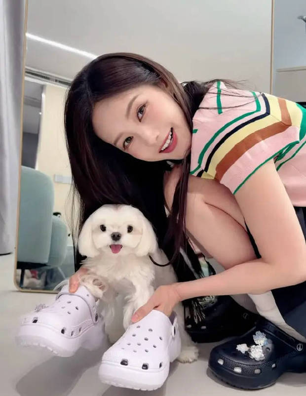 李一桐身着彩色T恤配黑色短裙 怀抱小狗甜美灵动(图3)