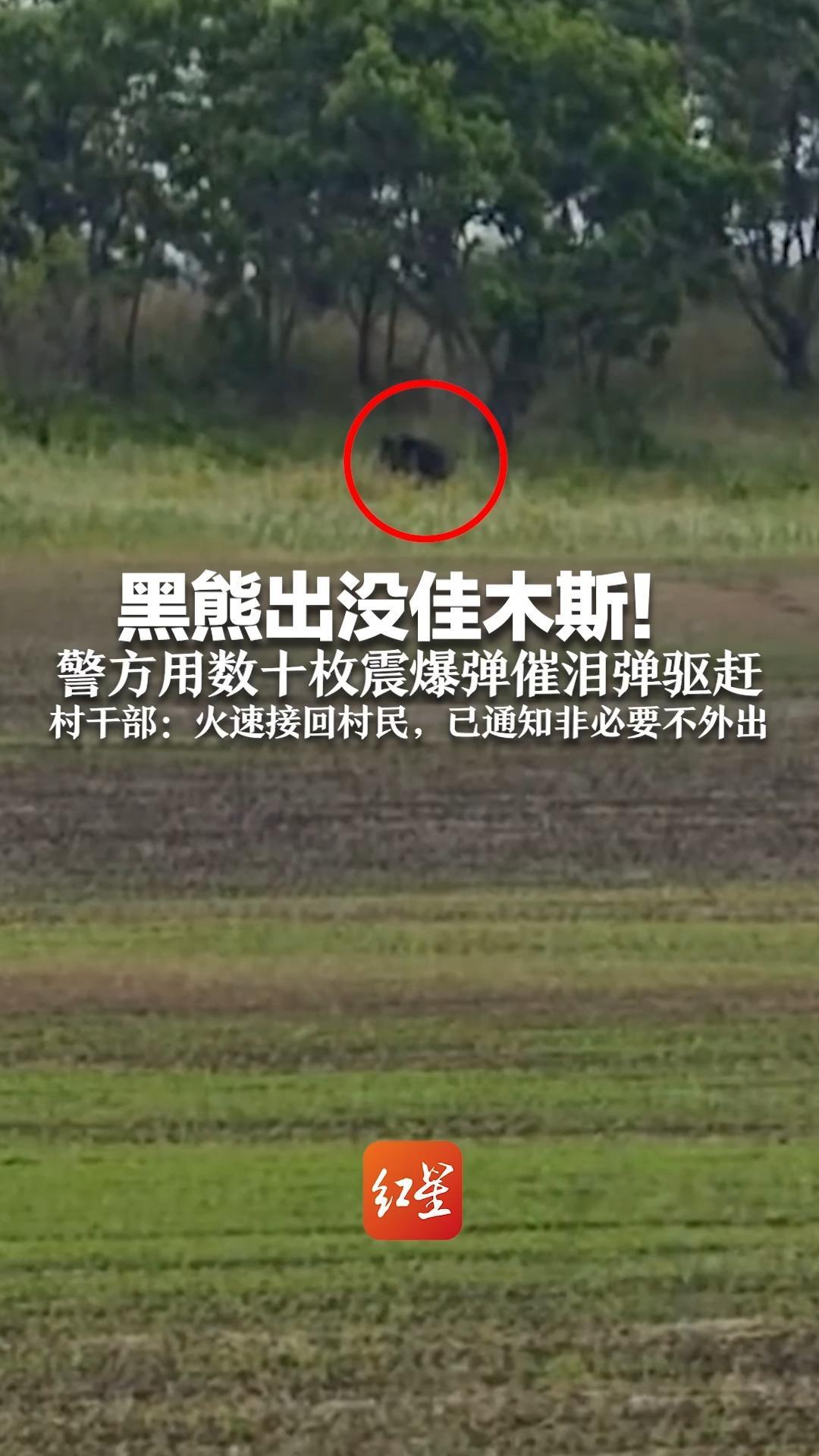 黑熊出没佳木斯！追赶车辆和钓鱼人 警方用数十枚震爆弹催泪弹驱赶 村干部：火速接回村民，已通知非必要不外出