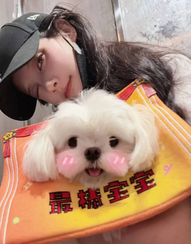 李一桐身着彩色T恤配黑色短裙 怀抱小狗甜美灵动(图4)