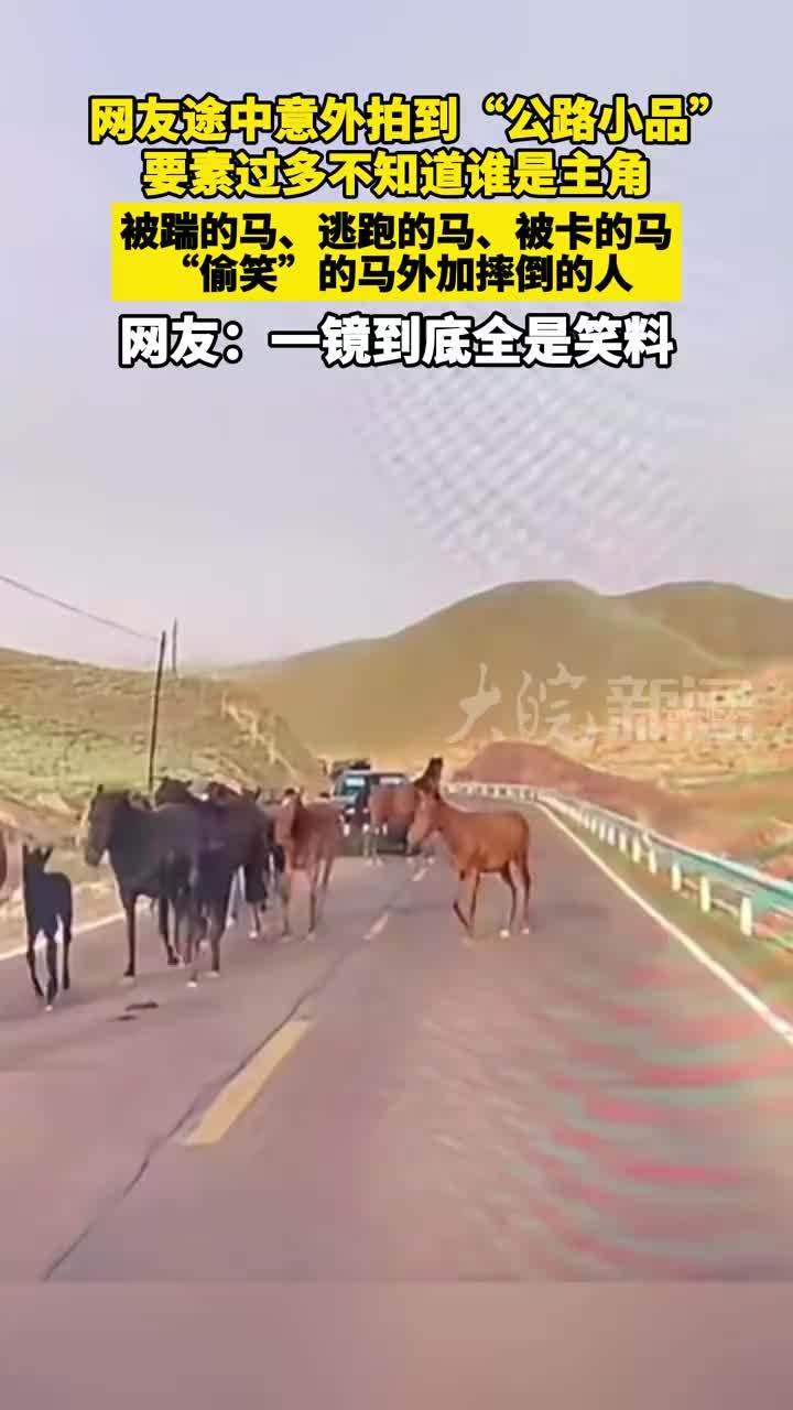 网友途中意外拍到“公路小品”，要素过多不知道谁是主角。被踹的马、逃跑的马、被卡的马、“偷笑”的马外加摔倒的人 网友：一镜到底全是笑料