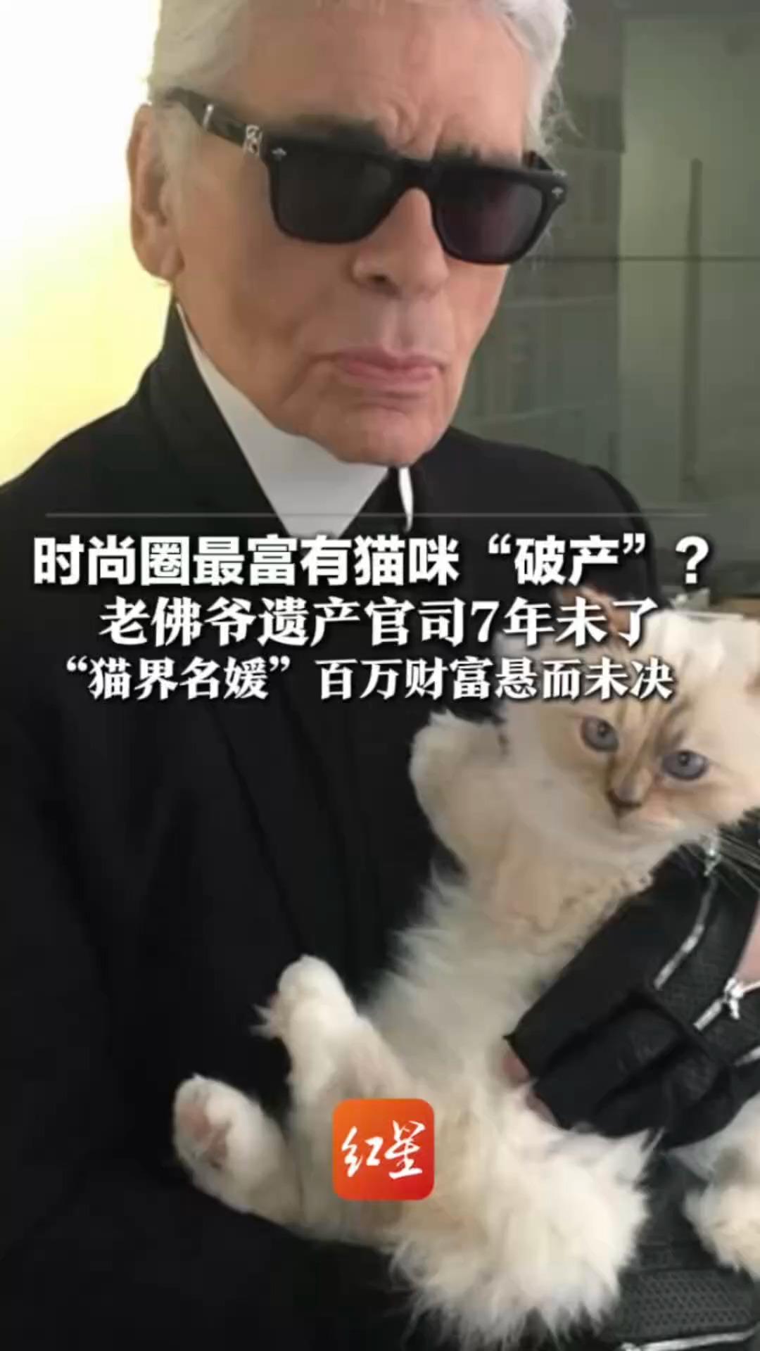 时尚圈最富有猫咪“破产”？ 老佛爷遗产官司7年未了 “猫界名媛”百万财富悬而未决  从住豪宅变挤小公寓