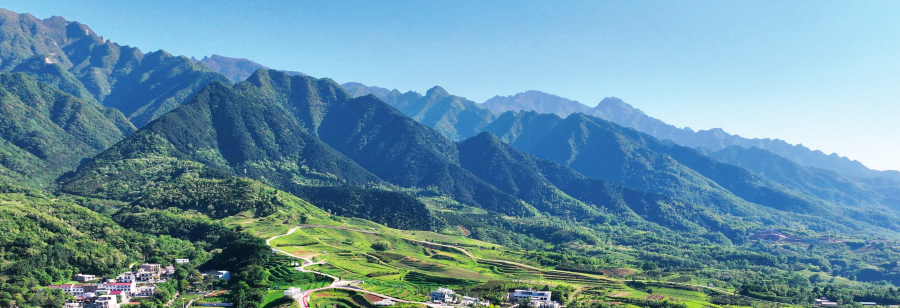 位于陕西省蓝田县九间房镇峪口村的秦岭荞麦岭景色（2026年5月5日摄） 邵瑞摄 / 本刊