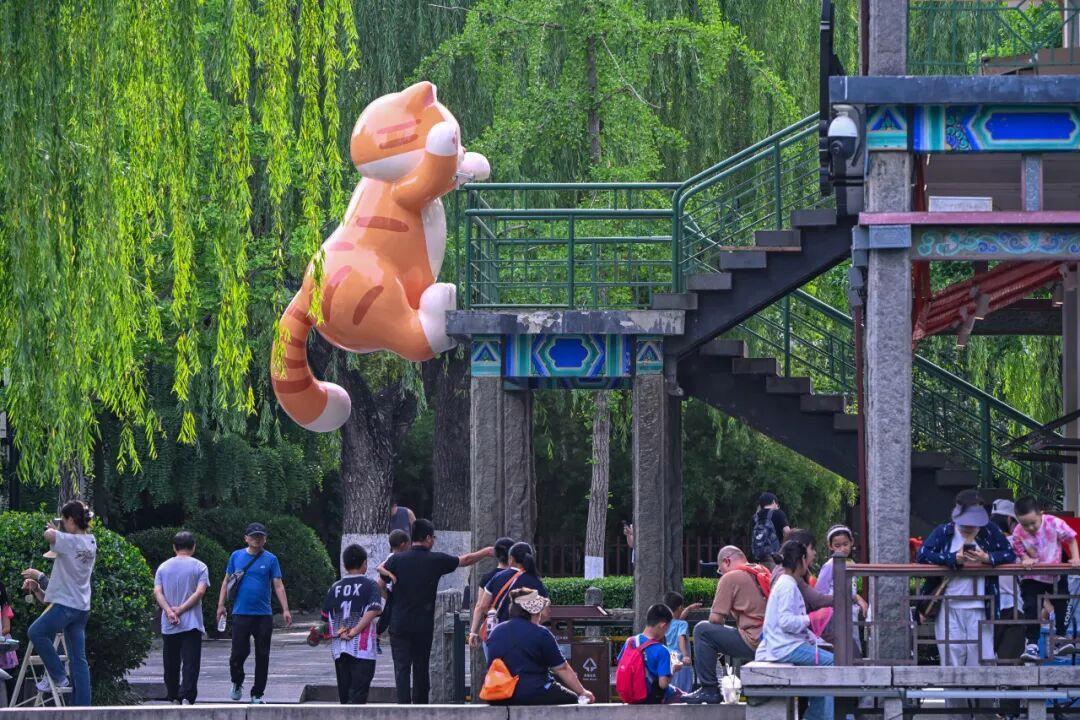 摄影：邵凯 2026年5月于五龙潭