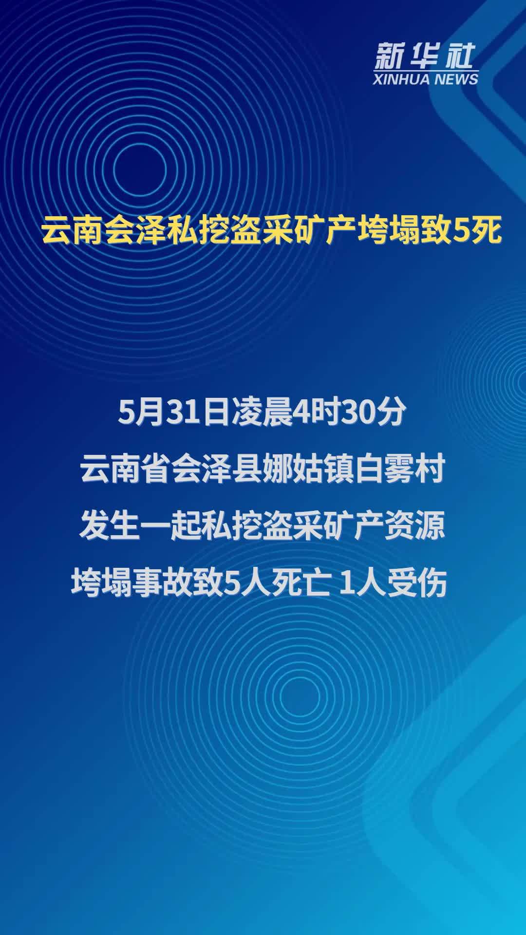 云南会泽私挖盗采矿产垮塌致5人死亡