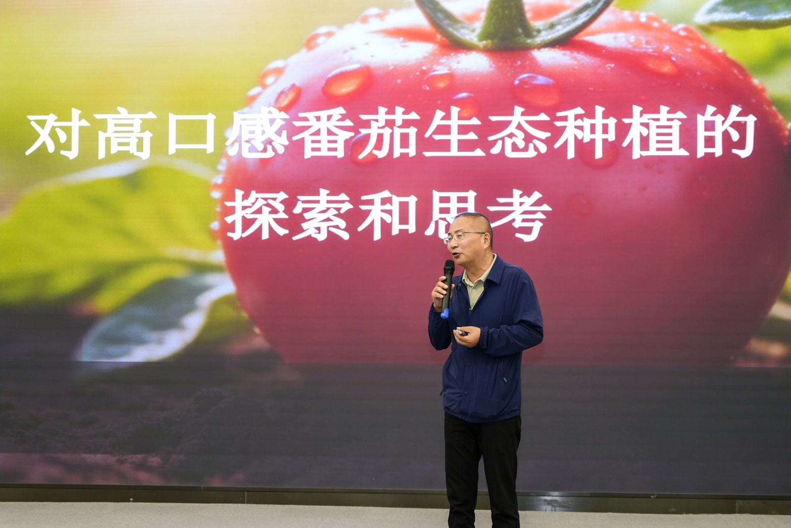 南京人,把番茄“玩”明白了