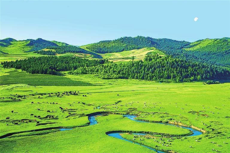 岷县九曲狼渡滩，水清草绿。