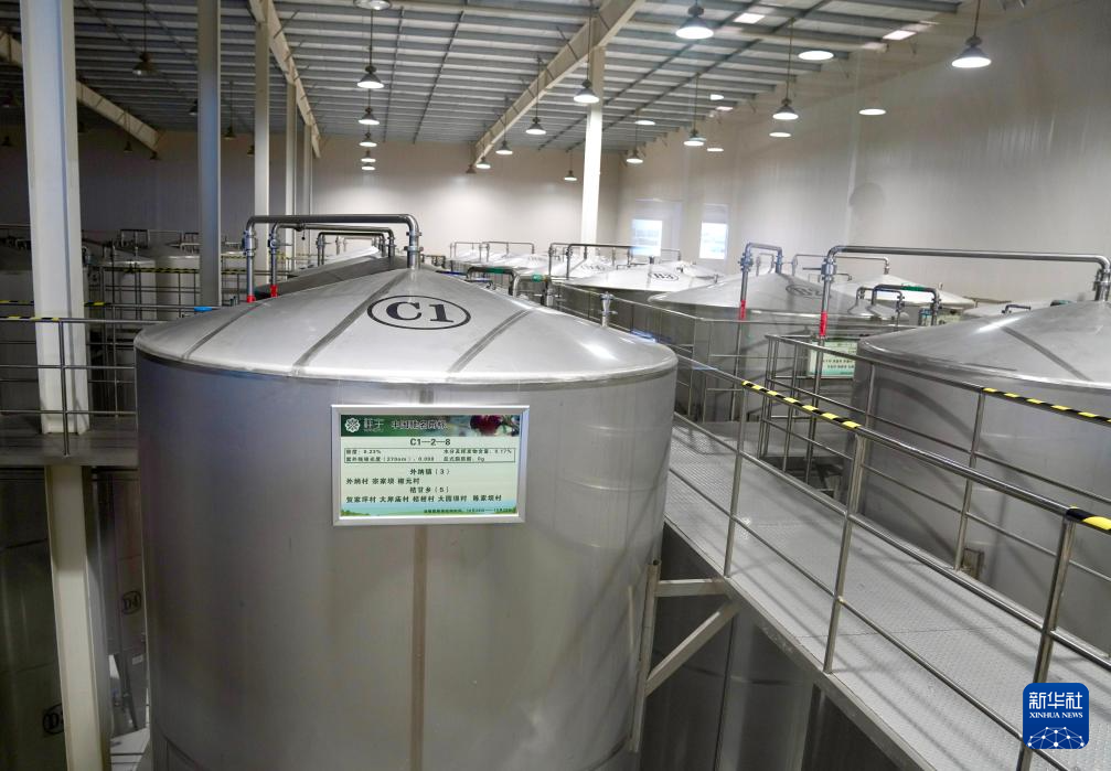 这是6月7日在甘肃省陇南市武都区一家油橄榄加工企业拍摄的按收购地分类储存的储油罐