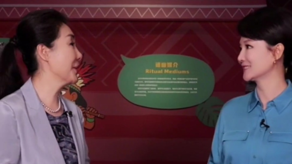 新闻主播的纳瓦尔是“破风之鹰” 你的动物守护灵是谁？