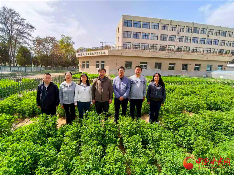 甘肃农业大学草业学院教学团队