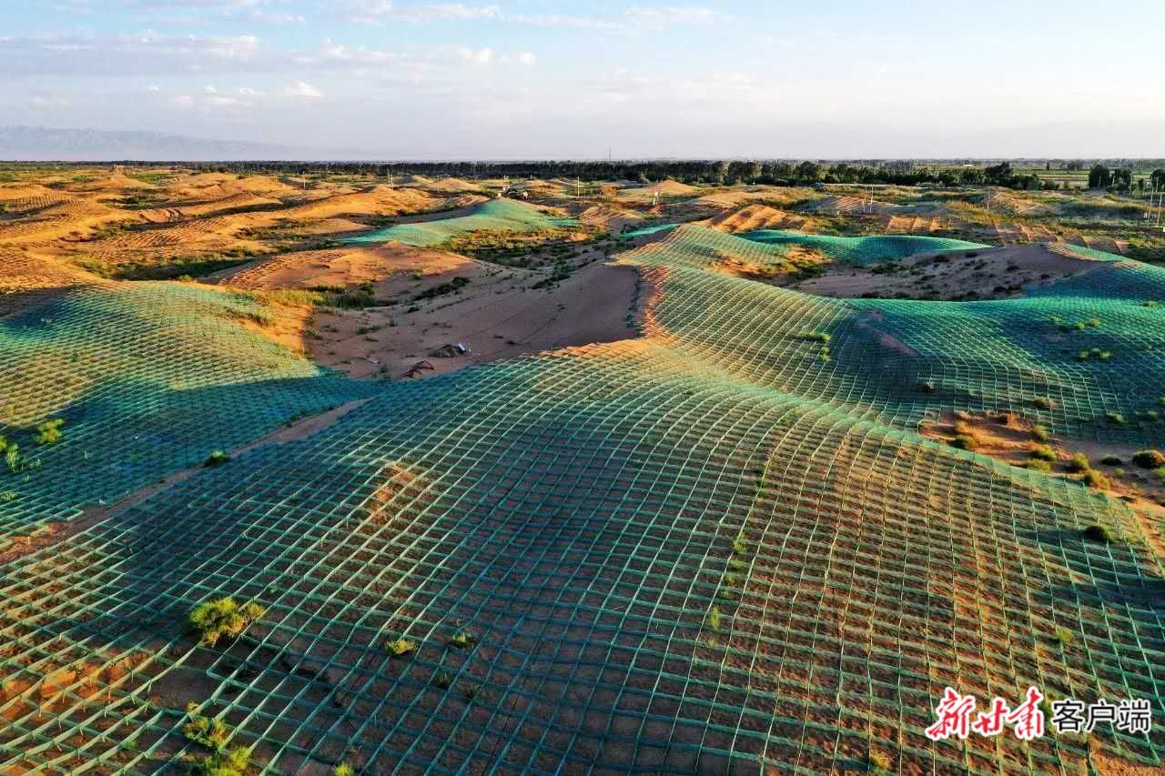 高台县规模化防沙治沙项目HDPE沙障