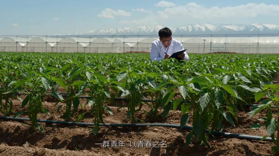 【甘快看】【青春华章·丝路逐光】AIGC视频丨丝路青锋·逐梦致远