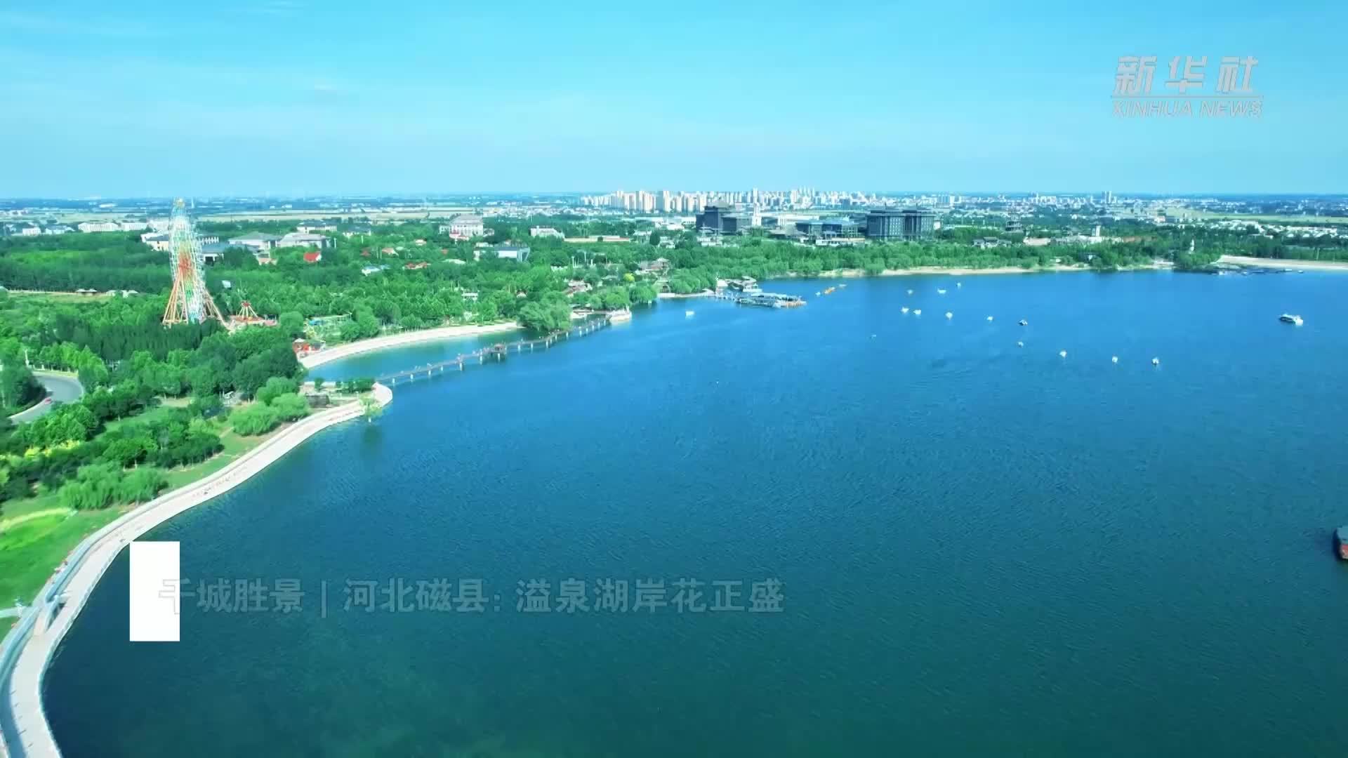 千城胜景｜河北磁县：溢泉湖岸花正盛