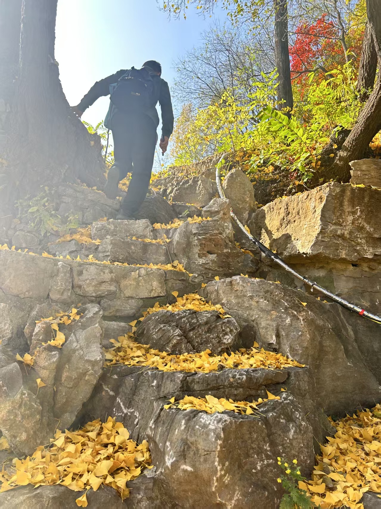 随笔 | 快慢之间，山河入怀