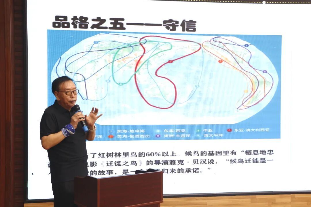 红树林的品格——守信