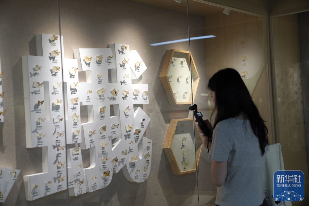 6月6日，一名观众在大熊猫国家公园甘肃片区昆虫博物馆参观。