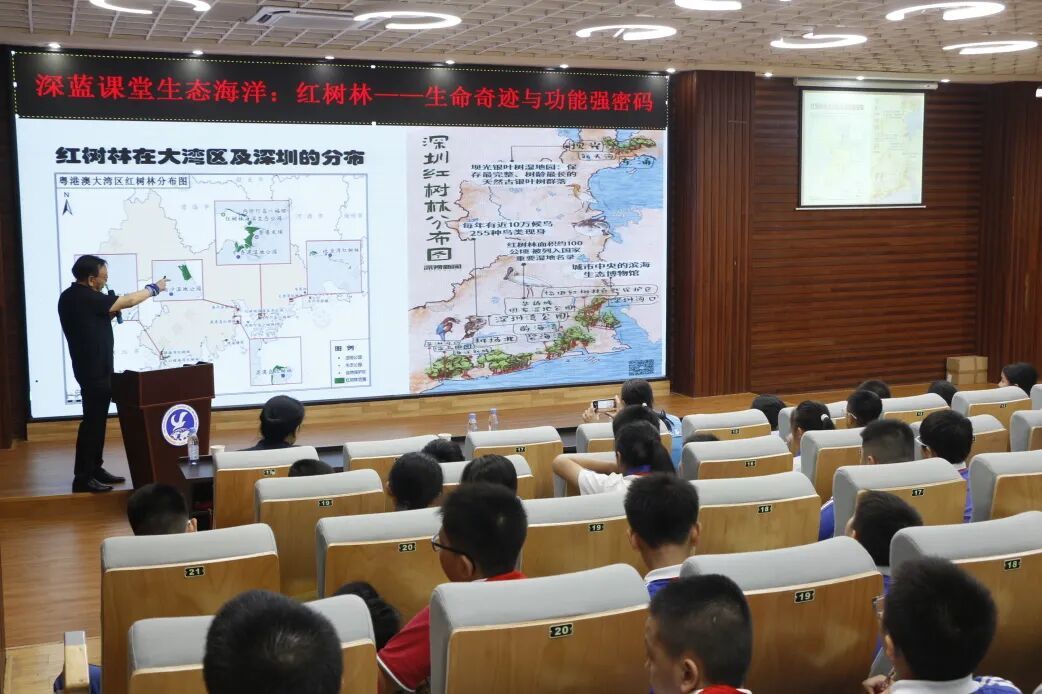红树林在大湾区及深圳的分布