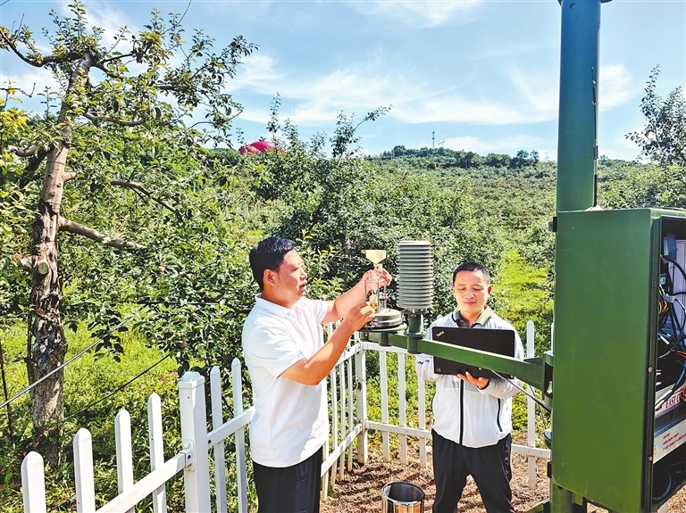 灵宝寺河山气象工作人员正在维护农业小气候站设备，为苹果精细化气象服务提供数据支撑。