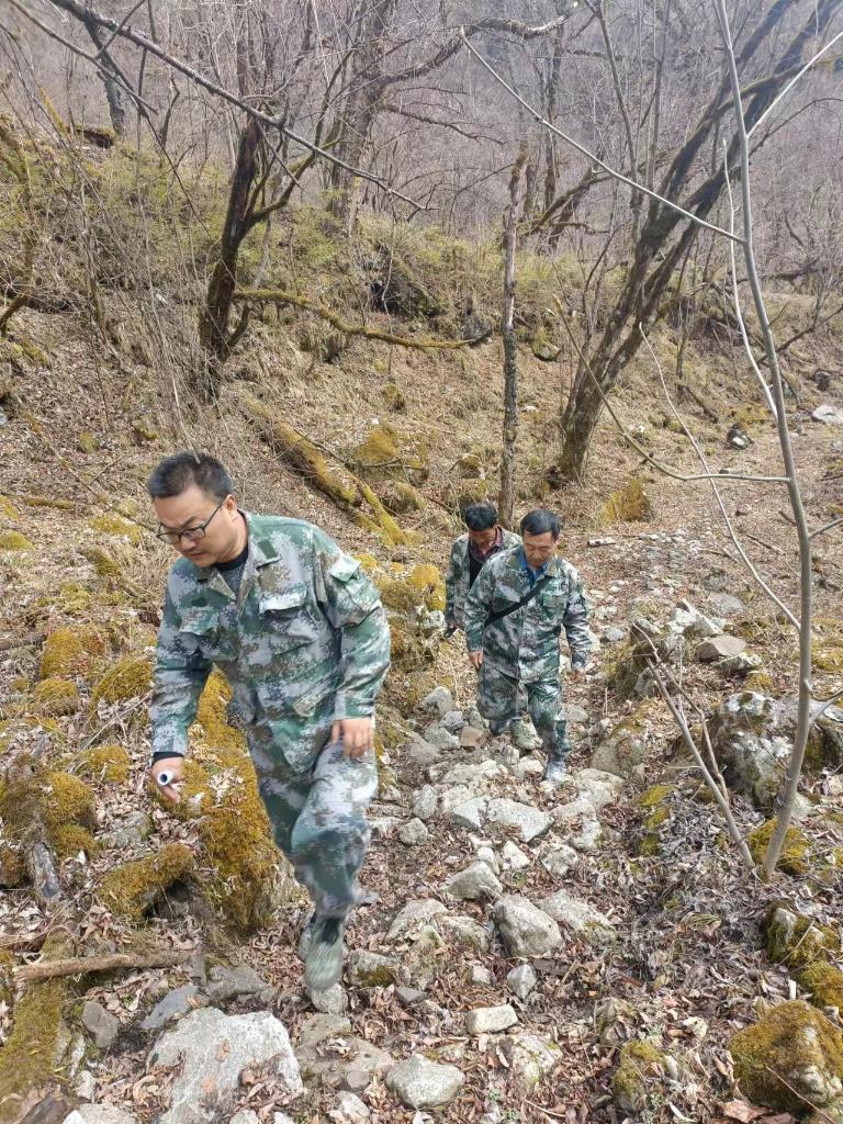 大熊猫国家公园甘肃管理局科研监测中心野生动物救护繁育基地负责人刘智(左一)和同事在开展日常巡护(受访者供图)