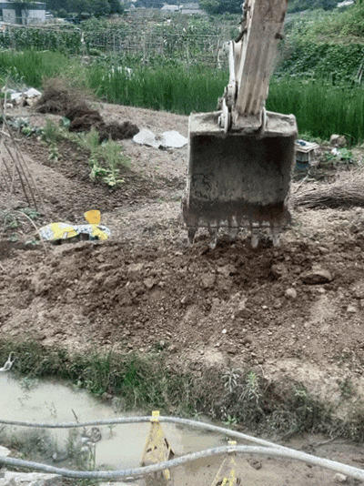 GIF_20260611144354814.gif