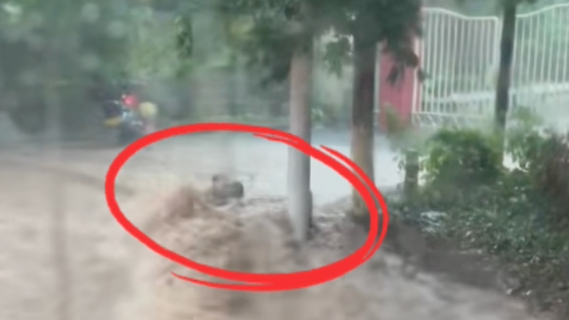 重庆合川暴雨致多街镇内涝，所幸高考考点暂未受影响，被激流冲走的一大人一小孩已获救