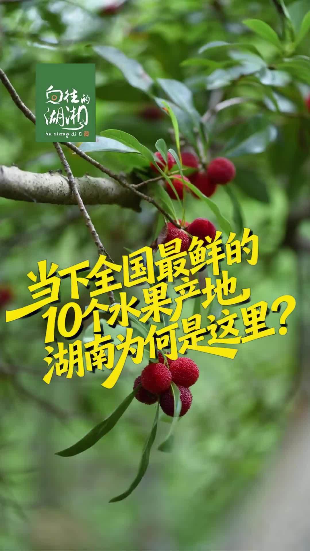 当下全国最鲜的10个水果产地，湖南为何是这里？