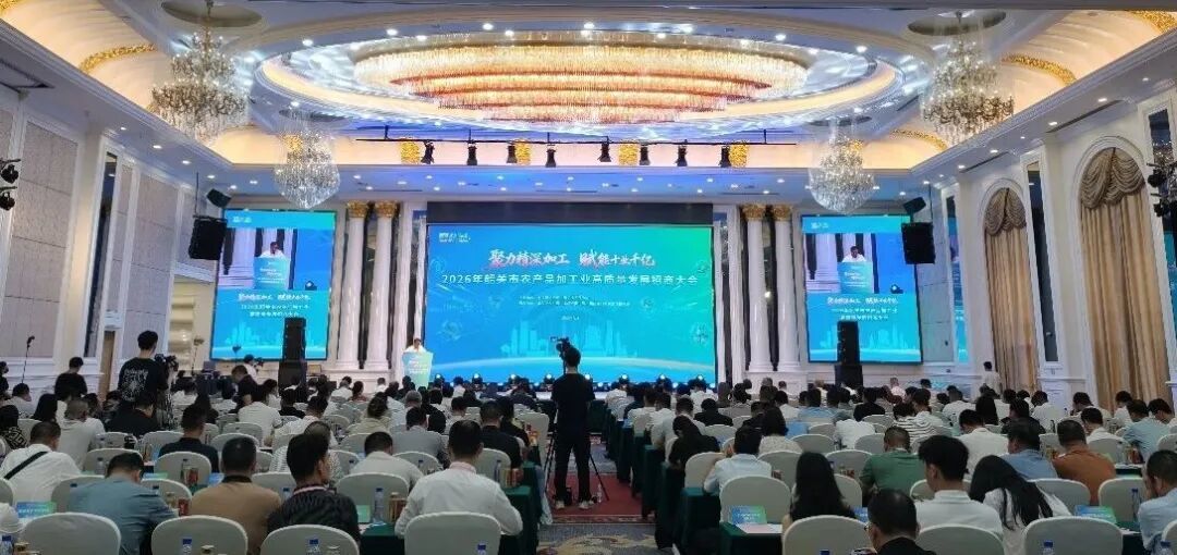 大会现场