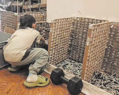 为圆6岁儿子心愿 武汉妈妈养蚕1.2万只自制蚕丝被