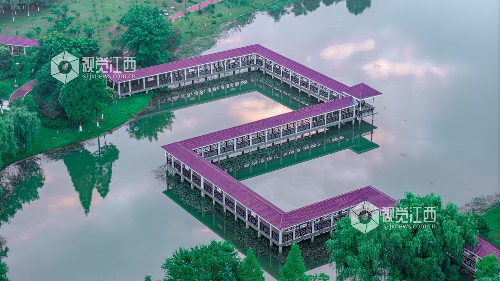 2026年6月10日，在江西省吉安市庐陵新区拍摄的画面。