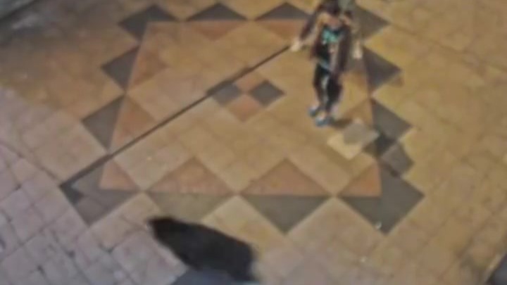 日本一头熊商业街狂奔，路人被吓退大步逃离