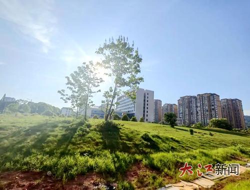 清理菜地、建口袋公园，新余城北街道让“微幸福”触手可及