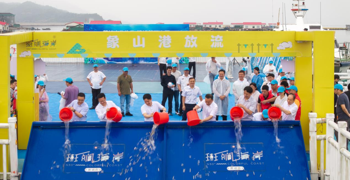 宁波：210万尾鱼苗奔向东海，一场十余年的“蓝色约定”