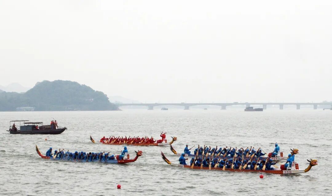 3张底牌、1场变革富阳19年磨一城(图11)