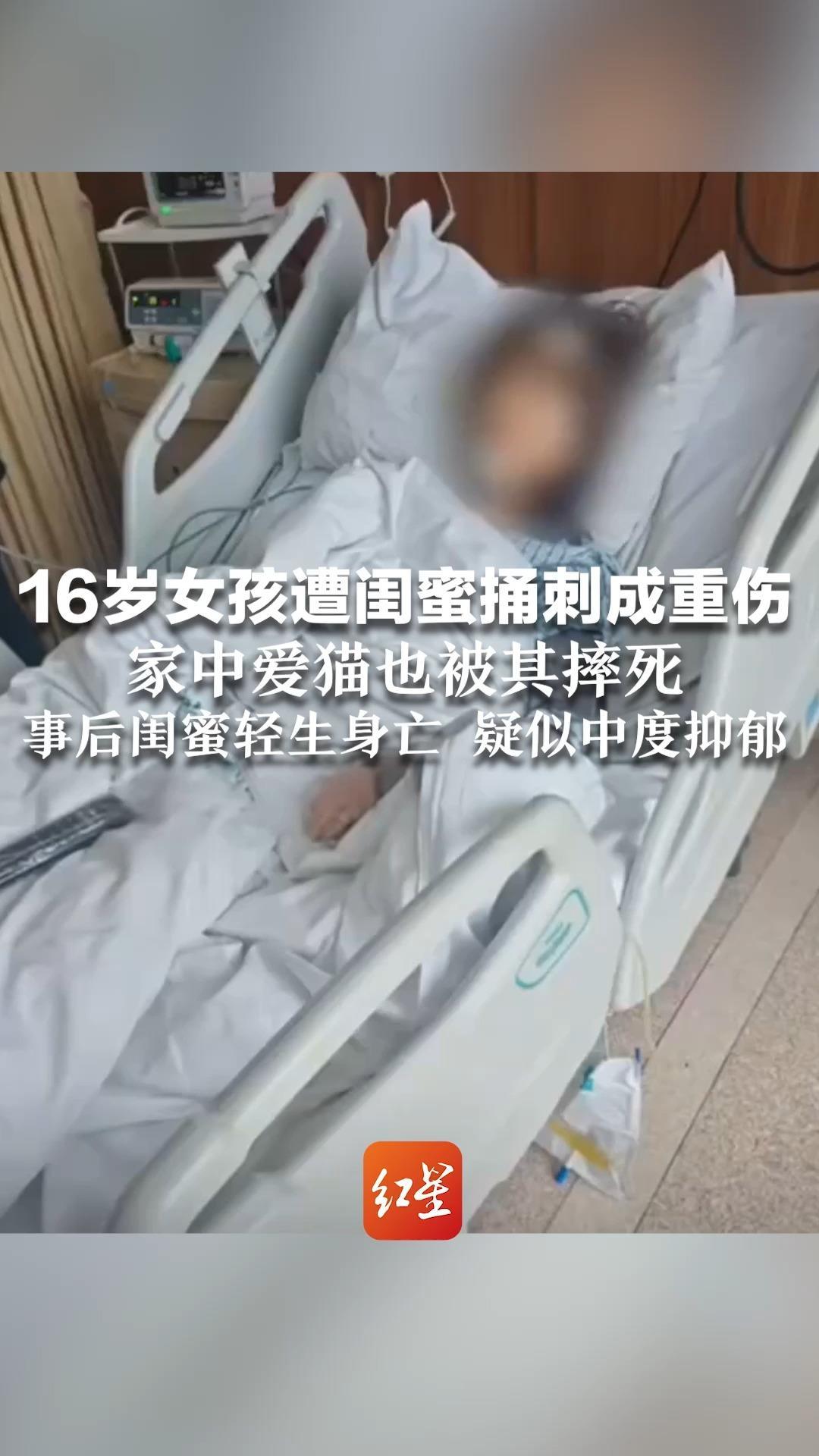 16岁女孩遭闺蜜捅刺成重伤 家中爱猫也被其摔死 事后闺蜜轻生身亡 疑似中度抑郁