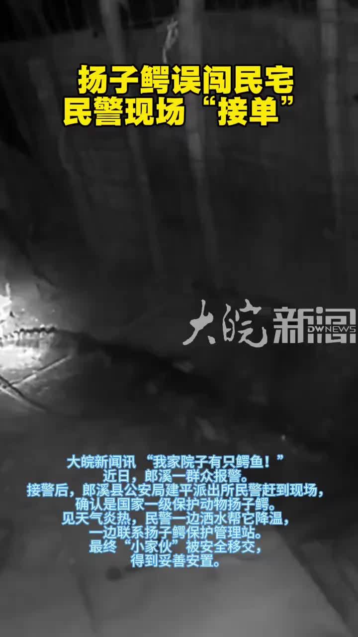 扬子鳄误闯民宅 民警现场“接单”