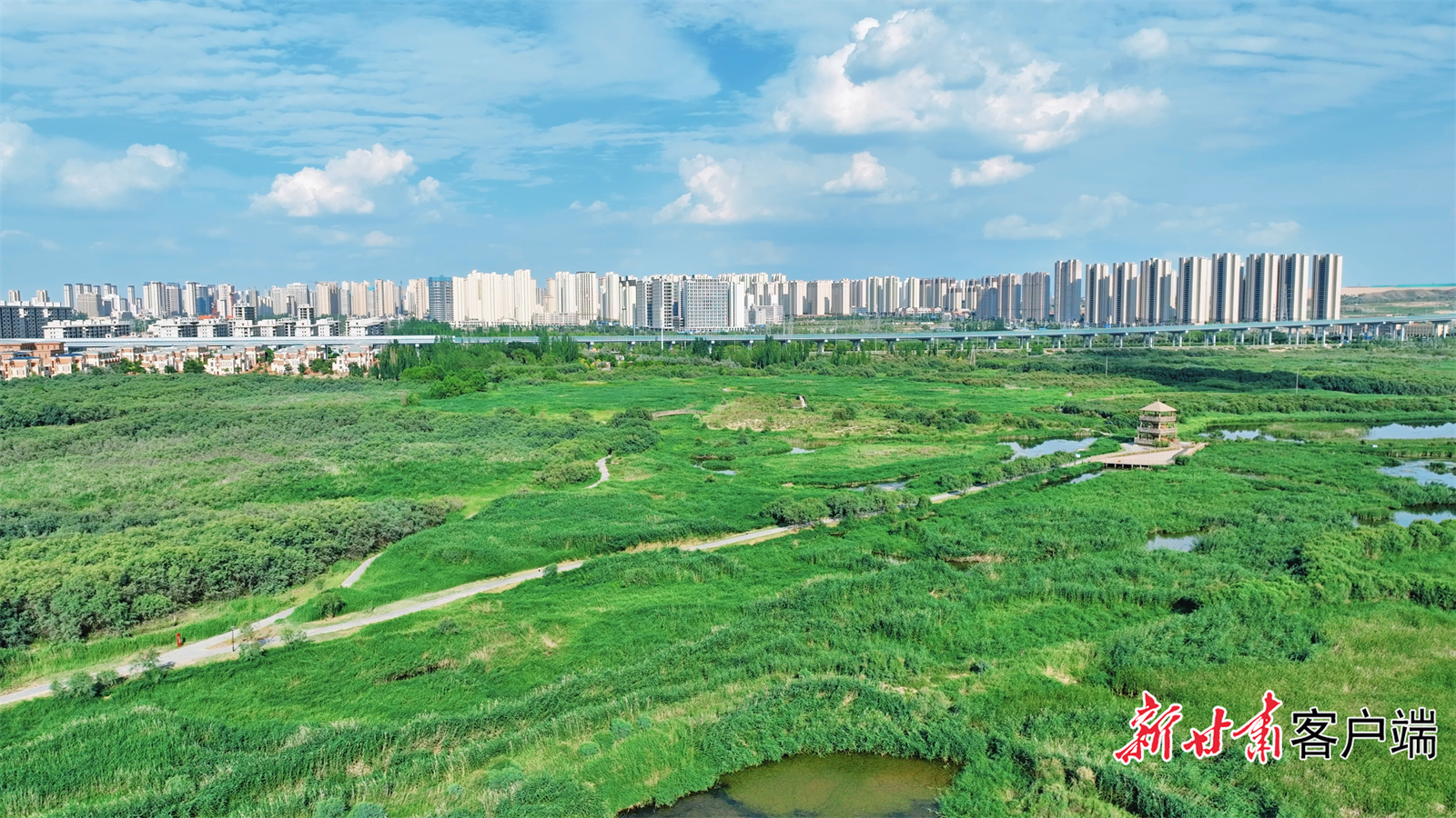 秦王川国家湿地公园一角(资料图)